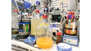 Zweistufiges Bioreaktor-System, in dem mit Proteinen und dem Vitamin B9 angereicherte Hefe produziert wird.  (Bild: Lisa Marie Schmitz)