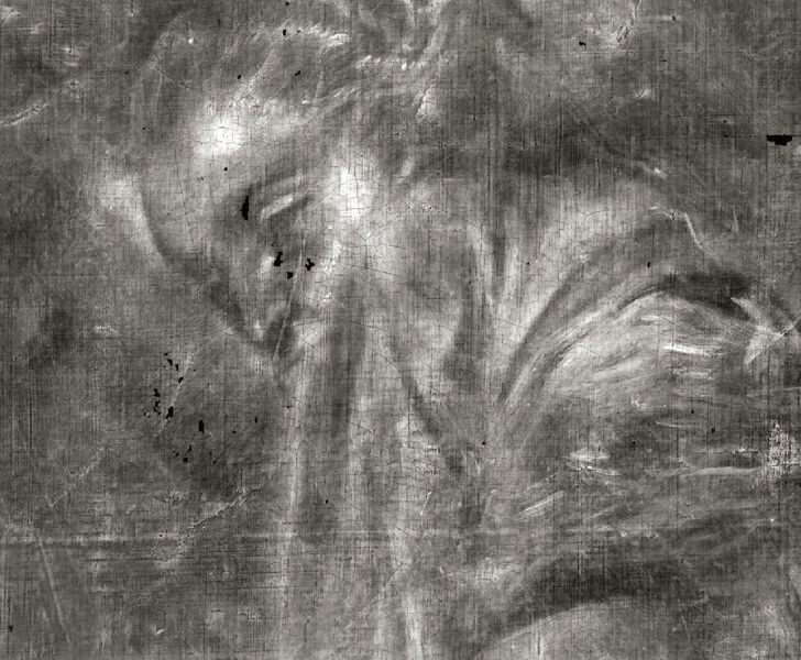 Röntgenaufnahme (Detail) mit dem neu entdeckten Kopf einer übermalten Frau. (Archiv: Vogel Business Media)