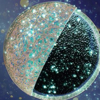 Eine äußere Schutzschicht schirmt den porösen Kern der Kohlenstoffanode gegen unerwünschte Einlagerungen ab und erhöht so die Leistungsfähigkeit der Batterie. (Bild: BAM)