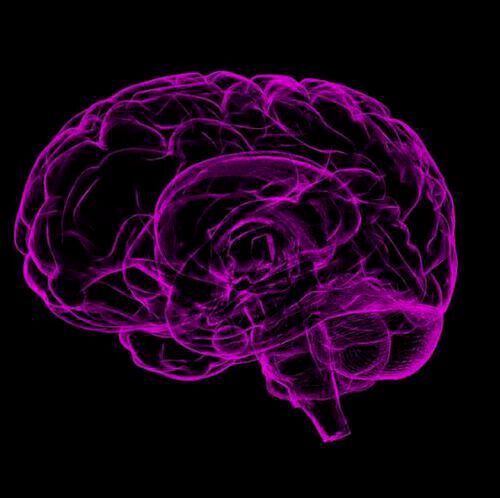 The new study looks deep inside the brain, where previous learning was reactivated during sleep, resulting in improved memory. The new study looks deep inside the brain, where previous learning was reactivated during sleep, resulting in improved memory.