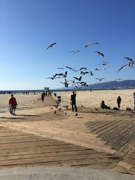 Am Santa Monica Beach ist immer was los. (Bild: Also)