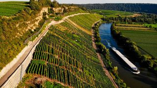 Weinberge mit Schiff bei Hessigheim in Baden-Württemberg (© Lucky Matze - stock.adobe.com)
