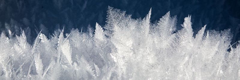 Der Optimizer des Software Asset Management (SAM)-Experten Snow erlaubt dem Nutzer eine umfassende Visibilität der SAP-Umgebung. (Bild:  gemeinfrei© Pezibear /  Pixabay)