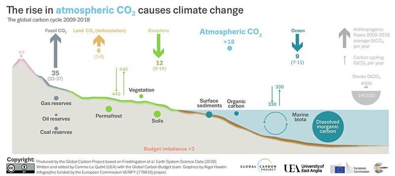 Globaler Kohlendioxid-Kreislauf (Global Carbon Project)