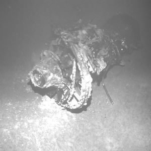 (Archiv: Vogel Business Media)