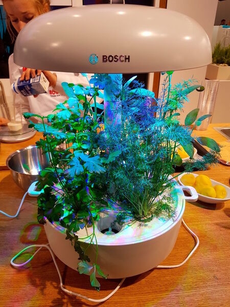 Auch Bosch ist in das Segment Indoor Gardening eingestiegen, mit SmartGrow. (Oliver Schonschek, IT-Business)