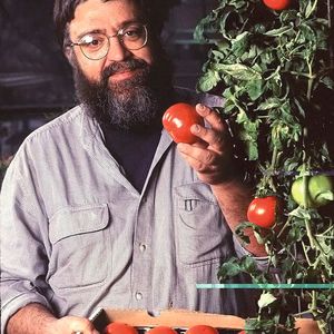 1994: Mit „Flavr Savr“ kommt das erste kommerzielle gentechnisch Veränderte Lebensmittel in den USA in die Läden. Von den Kunden abgelehnt und von der Lebensmittelbranche ignoriert, wurde Flavr Savr 1997 vom Markt genommen.