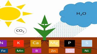  (nach H.-P. Blume et al, Scheffer/Schachtschabel: Lehrbuch der Bodenkunde, Springer-Verlag, 2010)