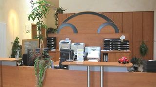 Theke im Autohaus Zeilinger: Scharfe Ecken haben eine schneidende Wirkung auf das Qi. Wenn Kanten und Ecken nicht zu vermeiden sind, können sie durch Pflanzen entschärft werden. (Foto: AH Zeilinger)