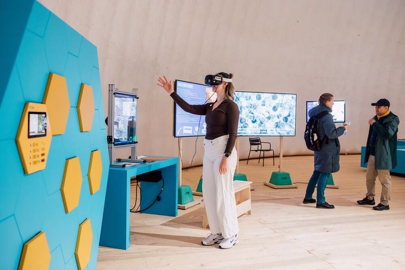 Eine Besucherin tritt mit der VR-Brille in einen Bienenstock.  (Bild: David Biedert)