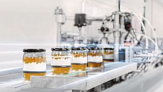 Das EPDM Foodpro E75F1 kann als Dichtungsmaterial im Lebensmittelkontakt und bei anderen sensiblen Anwendungen eingesetzt werden. (Bild: Trelleborg Sealing Solutions)