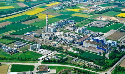 Das Biomassekraftwerk liefert Dampf für die Produktionsstätte von DSM Nutritional Products in Sisseln und anderen Firmen. (DSM)
