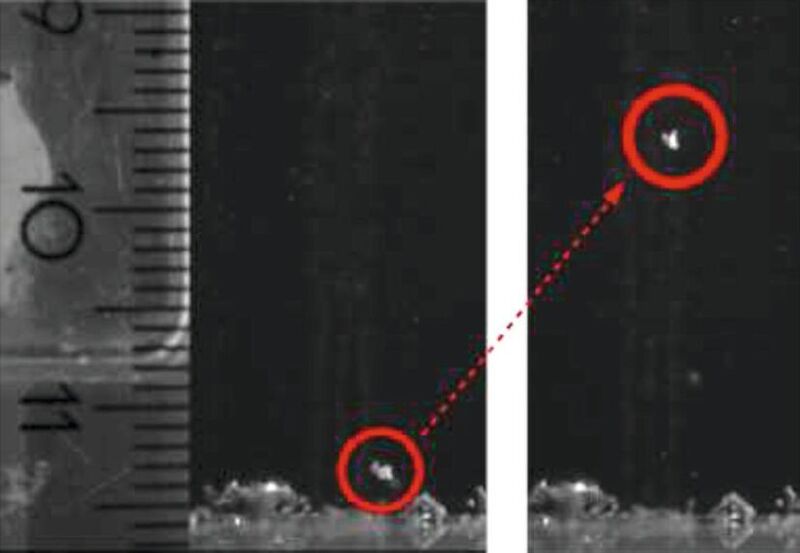 Abb. 3: Nachweis des Verfahrens im Laborversuch. Im linken Bild ist ein Mikroplastikteilchen der Größe  1 mm zu erkennen, das zu Beginn am Boden eines wassergefüllten Gefäßes liegt. Das rechte Bild zeigt zu einem späteren Zeitpunkt den aufsteigenden Teilchen-Blase-Cluster. (TUBAF)