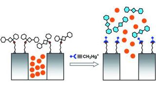 Ein offener Deckel verrät Methylquecksilber.  (Bild: GDCh)