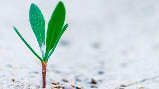 Grundzüge und Richtlinien einer späteren Skalierung sollten frühzeitig festgelegt werden, um eine IIoT-Plattform bestmöglich auf das zukünftige Lastaufkommen vorzubereiten. (Bild: gemeinfrei)