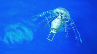 Der Aqua-Jelly ist in Aufbau und Kinematik dem Bewegungsmodell des biologischen Vorbilds, der Qualle, nachempfunden.Bild: Festo (Archiv: Vogel Business Media)