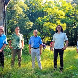 Fünf Fachleute sind vor der carbongestützten alten Buche im Augsburger Siebentischwald versammelt. Von links: Franz Weißgerber, Fachagrarwirt Robert Dettenrieder, Reiner Erben, Andreas Detter und Michael Heine. Im Hintergrund die durch CFK-Unterstützung gerettete Buche.