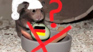 Tja, da schaut der deutsche „Hamster-Michel“ trüb aus den Knopfaugen! Weltweit kaufen Unternehmen, was nicht bei drei auf dem Baum ist. Die Deutschen aber würden ausgebootet, meldet dpa. (Bild: D. Erbrüller)