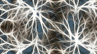 Nachahmung von Gehirnstruktur und Neuronen (gemeinfrei)