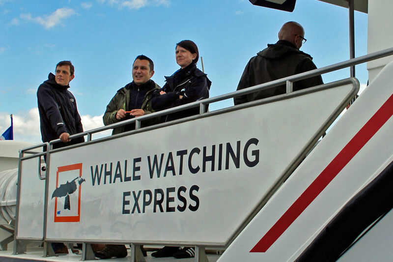 Ebenfalls auf dem Programm: Whale Watching auf einem Schiff der Express-Flotte… (Bild: HP)