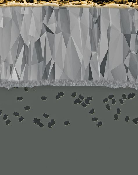 Die neue Tiger·tec-­Gold-­Beschichtung WKP35G zeichnet sich durch erheblich höhere Freiflächen-Verschleissfestigkeit, geringere Kammrissbildung und besseren Widerstand gegen plastische Deformation aus. (Walter AG)