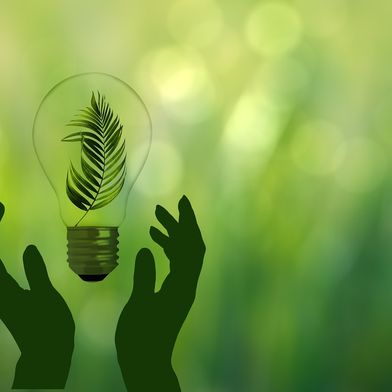 How sustainable are bioplastics, really? (Bild: geralt)