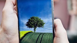 Bewässerungslösungen wie die Tröpfchenbewässerung sind keine simplen Systeme aus Schläuchen mehr.  (Bild: gemeinfrei© LuisellaPlanetaLeoni)