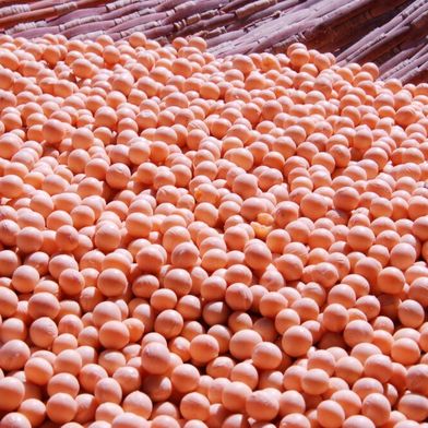Die Anbaufläche für Soja wächst auch in Deutschland. Die Hülsenfrucht gilt als hitzeverträglich und stickstoffbindend. (Bild: frei lizenziert)