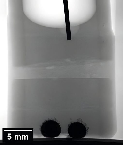 Röntgenradiographie einer Natrium-Zink-Zelle mit Natrium-Anode (oberer Zellteil, heller Bereich um den schwarzen Draht), Diaphragma (heller Streifen in der Zellmitte) und Zink-Kathode (schwarze Kreise am Boden). (Bild: Martins Sarma, Natalia Shevchenko)