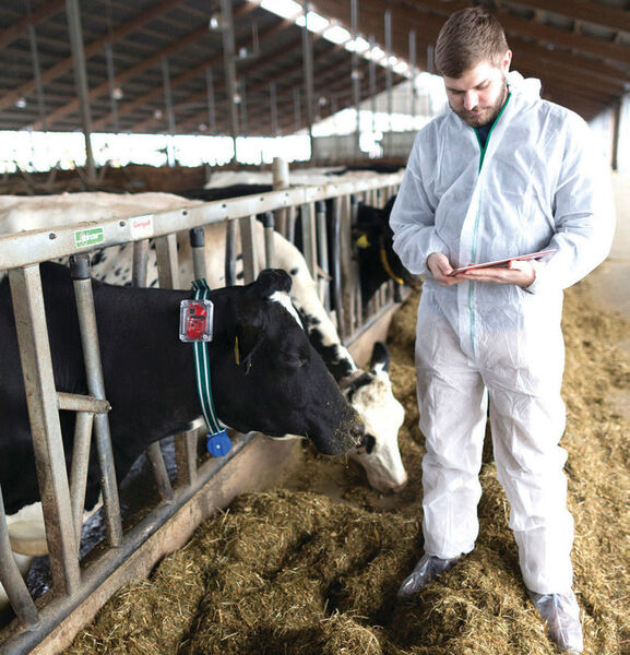 InnoCow, eine neue Ausgründung des DFKI, entwickelt ein automatisiertes Diagnosesystem für Milchkühe. Auf der Basis von grundlegenden Verhaltensweisen und Bewegungsabläufen wird der Gesundheitszustand von Kühen in der Milcherzeugung ausgewertet. So erhalten Milchbauern auf einen Blick alle nötigen Informationen, um beispielsweise brünstiges Verhalten und Krankheiten frühzeitig zu erkennen oder die optimale Futtermenge für jedes Tier zu berechnen ( Halle 6, Stand B48). (Innocow)
