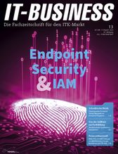IT-BUSNESS 13/2020 (IT-BUSINESS)