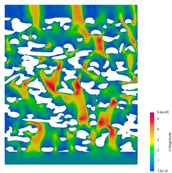 Velocity distributions in sectional plane of a 3D microstructure. (Fraunhofer IFAM Dresden)