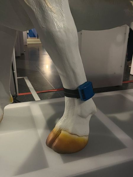 ... Schrittzähler, ... (© cm)