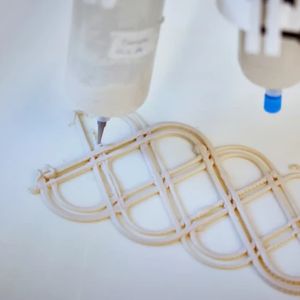 Bäckerhefe, Zellulosefasern, Alginat, Glycerin und Wasser werden zu einer Art Hydrogel vermischt – einem gelartigen Material, das im 3D‑Druck verarbeitet wird.(Bild:  Technische Universität Chalmers)