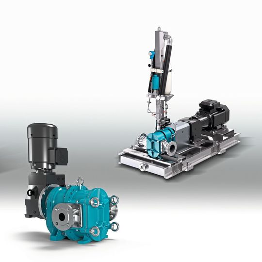 Aus drei Produktserien mit insgesamt 25 Pumpengrößen wird für jeden Einsatzfall die am besten geeignete Pumpe ausgewählt.(Bild:  Börger)