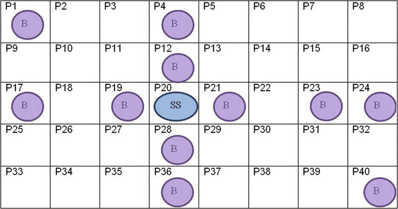 Abb.2: Anordnung von Testpositionen im Verhältnis zum versetzten Röhrchen (SS = versetztes Röhrchen; B = ein „leeres“ Röhrchen ohne Analyt) (Bild: Genevac)