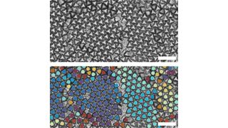 Optical images of truncated tetrahedrons forming multiple hexagonal grains (top). Bond order analysis shows different hexagonal grains through different colors (bottom). Neighboring tetrahedrons that have the same color indicate that they have the same grain orientation. Scale bar is 20 um. (Source: David Doan & John Kulikowski)