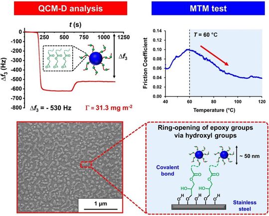 So arbeitet das neue Schmiermittel, dessen Nanopartikel durch Epoxy funktionalisiert sind. Letztere haften durch chemische Adhäsion stark auf Edelstahl. Auch die im Motor herrschenden Temperaturen halten sie aus, beweisen Tests.(Bild:  Wiley-VCH)