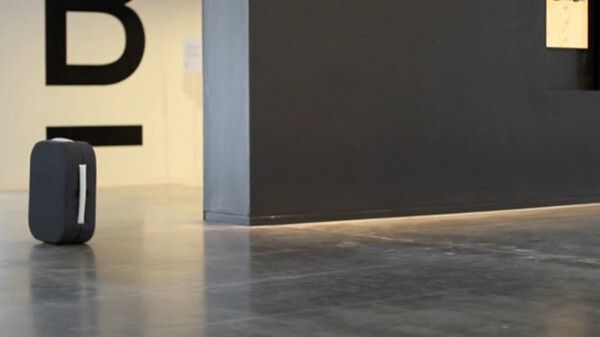 ... kommt brav hinterher ... (Bild: Rodrigo Garcia Gonzalez)