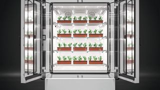 Pflanzenwachstumsschrank: Vier Ebenen mit Pflanzen (Bild: Binder)