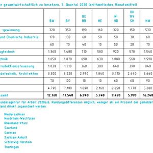 In Zahlen: So viele offene Stellen gibt es derzeit im Informatik- und Ingenieursbereich. (Bild:  VDI / IW)