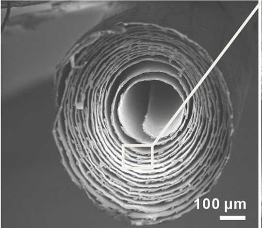 Bionische Robotik! Das ist keine Zimtstange, sondern eine rasterelektronenmikroskopische Aufnahme einer zwei × 25 Millimeter messenden, keramischen Mikrorolle, die Stuttgarter Forscher als Antriebssystem für Mikroroboter verwenden wollen. Abgeschaut hat man das vom Schmetterlingsrüssel ...(Bild:  Universität Stuttgart / IMW)