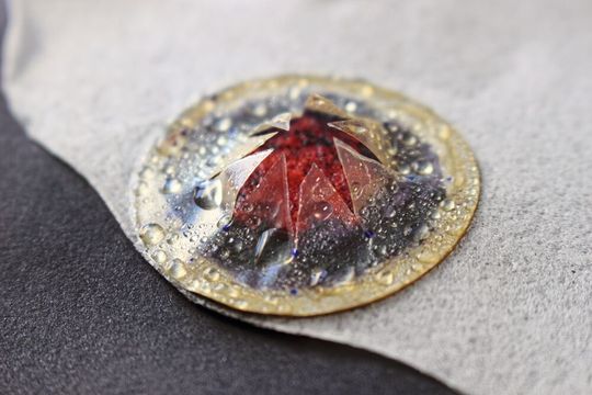 Sensor-Blüte: Der Schutzfilm aus Nanocellulose über dem Sensor öffnet sich wie eine Blüte, sobald er mit Feuchtigkeit in Berührung kommt – und der Sensor beginnt seine Arbeit. (Bild:  Empa)