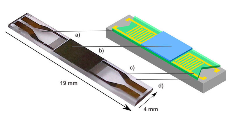 Der entwickelte Oberflächenwellen-Sensor besteht aus einem magnetostriktiven Dünnfilm (b), der beim Auftreten von Magnetfeldern seine elastischen Eigenschaften ändert. Aufgebracht ist er auf einem piezoelektrischen Substrat (d), das die elektrische Spannung der Elektroden (c) in eine mechanische Dehnung umwandelt und umgekehrt. Die so erzeugte Schallwelle breitet sich über die transparente Wellenleitungsschicht (a) aus. (SFB 1261)