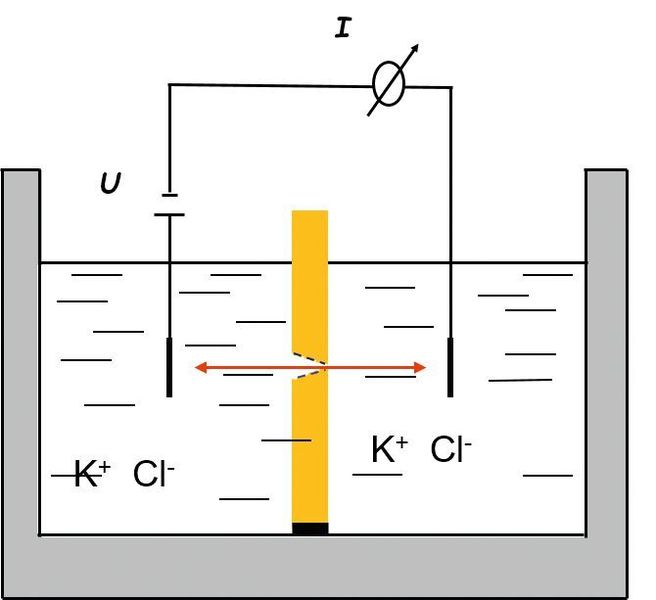 Schemazeichnung der elektrochemischen 2-Kammer-Messzelle mit zwei Elektroden mit der Nanoporen-Polymerfolie in der Mitte (TU Darmstadt)
