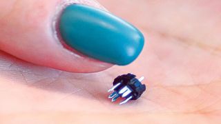 Fünf bis sechs Granulatkörner benötigt eine Spritzgießanlage, um solche Miniatursteckverbinder herzustellen. Die Automatisierung der Anlage stellte die Maschinenbauer vor Herausforderungen. (Bild: Ortlieb)