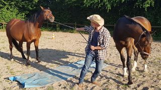 Wer führt hier wen? Legato zeigt deutlich seine reaktion auf das Führungsverhalten des Managers.  (Academy for Horse Assisted Coaching )