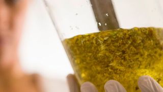 Phishing-Mails werden seit Jahren verwendet, um Hacker Angriffe auf Unternehmensnetzwerke durchzuführen. Die SIEM-Technologie soll diese Angriffe besser aufspüren können. (Bild: gemeinfrei)