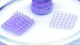 Im trockenen Zustand (hier in einer wasserfreien Flüssigkeit) färbt sich das Sensormaterial violett.  (UAM, Verónica García Vegas)