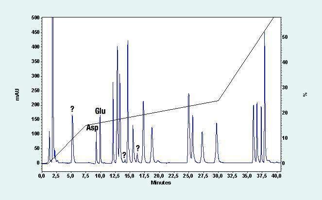 7 Hochempfindliche Aminosäurenanalyse durch Narrowbore-HPLC (Vorsäulenderivatisierung mit Aminoquinolyl-N-hydroxysuccinimidyl-carbamat, AQC). (Bedingungen: Stationäre Phase: Bluespher 2 µm; Säulendimension: 2 x 100 mm; Eluent: A: Na-Acetat 50 mM pH 6; B: 40 Prozent Na-Acetat 50 mM pH 6,0 + 60 Prozent ACN; Gradient: 0 Prozent B (0 bis 1 min), 0 bis 15 Prozent B (1 bis 7,5 min), 15 bis 25 Prozent B (7,5 bis 30 min), 25 bis 60 Prozent B (30 bis 40 min); Fluss: 150 µL/min; Druck: 25 MPa; Temperatur: 40 °C; Detektion (UV): 254 nm; Flusszelle: 245 nL/10 mm; Injektion: 2,5 µL (etwa 300 pMol); Probe: AQC-AA-Standard) (Archiv: Vogel Business Media)